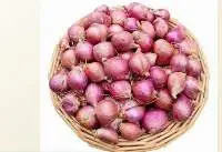 Shallots
