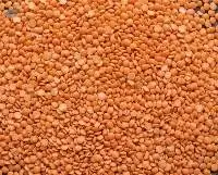 Split Masoor Dal