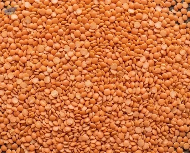 Split Masoor Dal