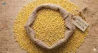 Yellow Moong Dal Whole