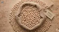 Kabuli Chana / Kabuli Chickpeas