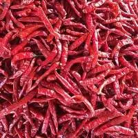 Dry Red Chilli
