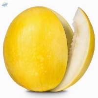 Fresh Muskmelon