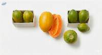 Fresh Papaya