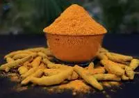 Turmeric Powder / Fingers