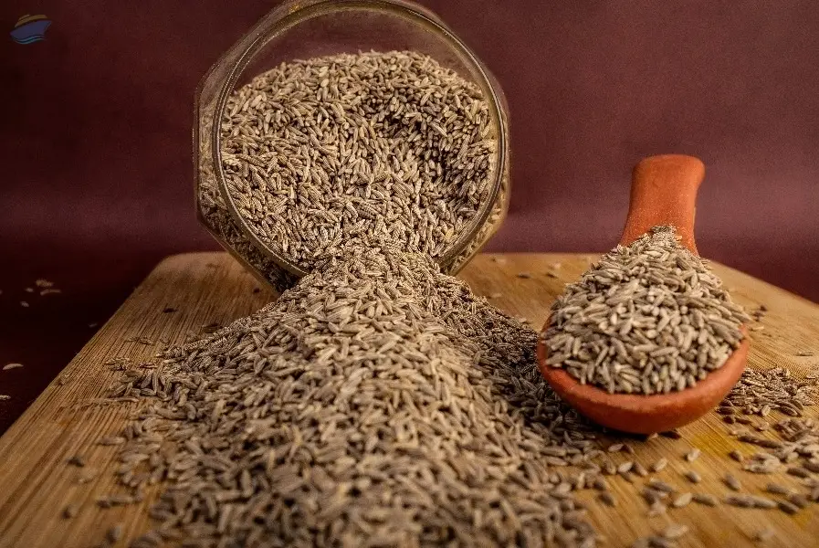 Whole Cumin Seed / Powder