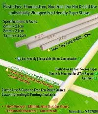 Compostable Paper Straws - 6mm