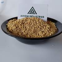 Sorghum