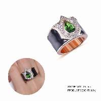 KLAR107107 Rings