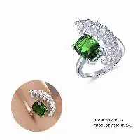 KLAR109366 Rings