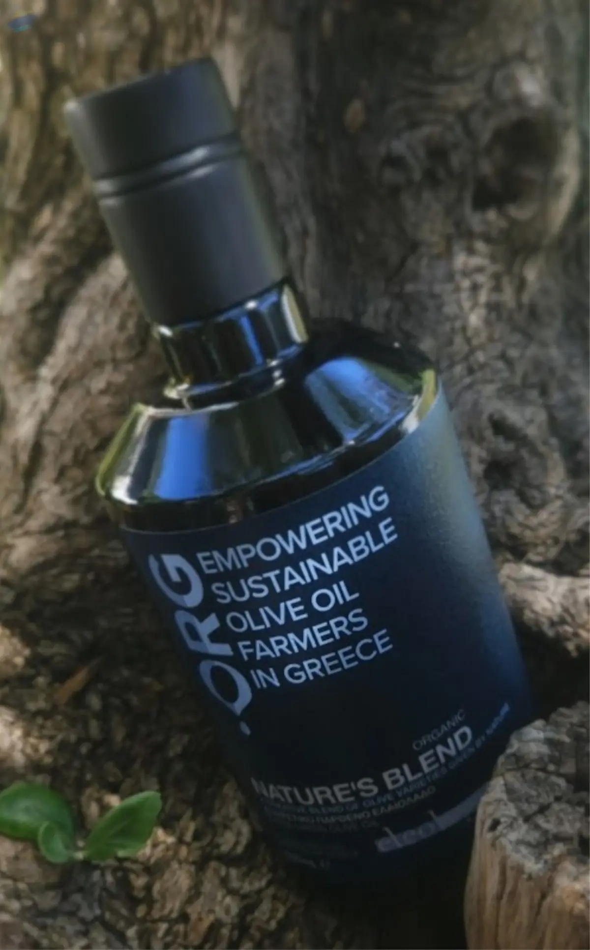 Nature's Blend Extra Virgin Olive Oil