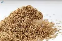 RNR Rice
