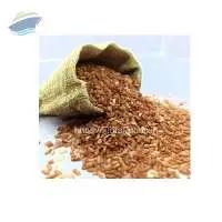 Rajmudi