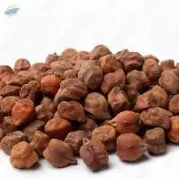 Bengal gram