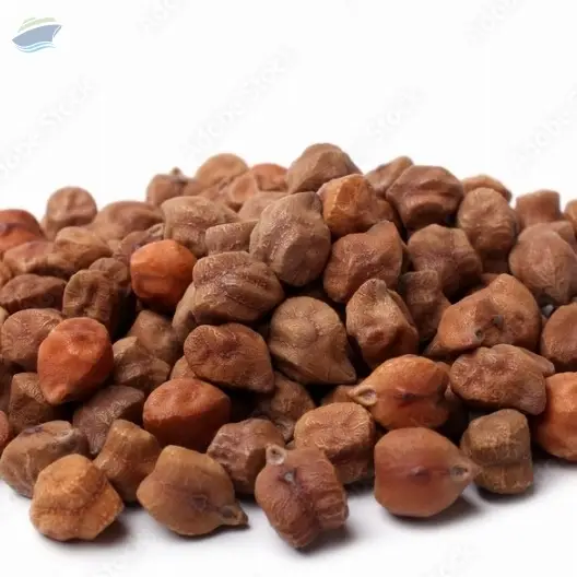 Bengal gram
