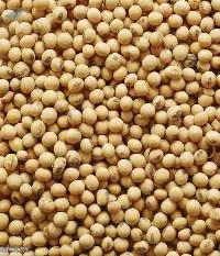 Soyabean