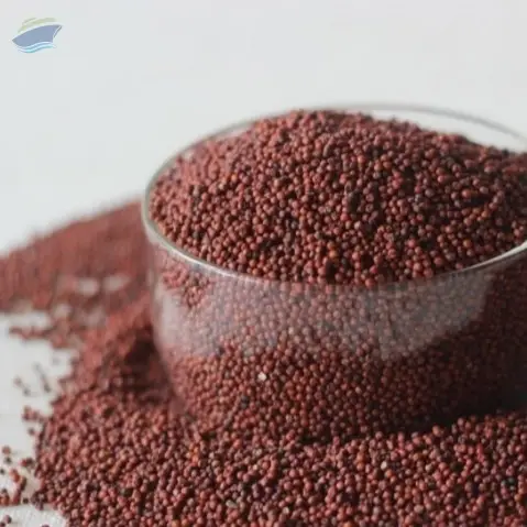 Finger millets/ Rag