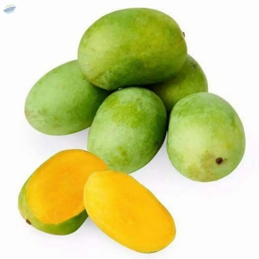 Bangana Pall