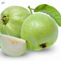 Guava: Allahabad Safed