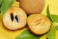 Sapota