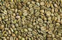 Coffee Arabic parchment
