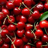 Arabic cherry