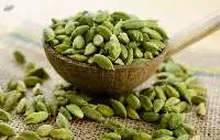 Cardamom