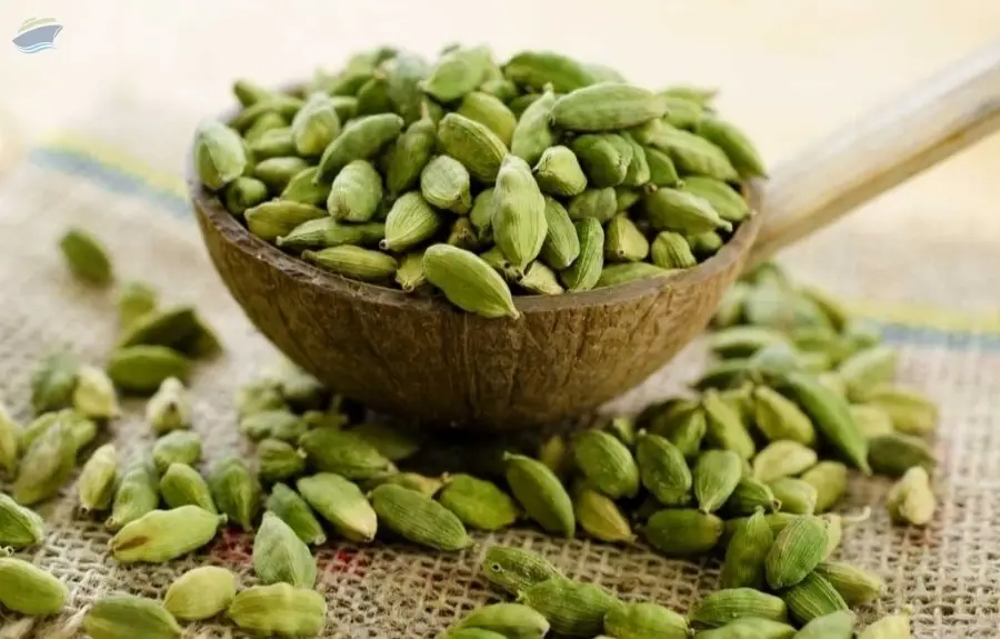 Cardamom