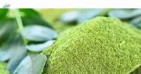 Moringa Powder