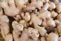 Ginger