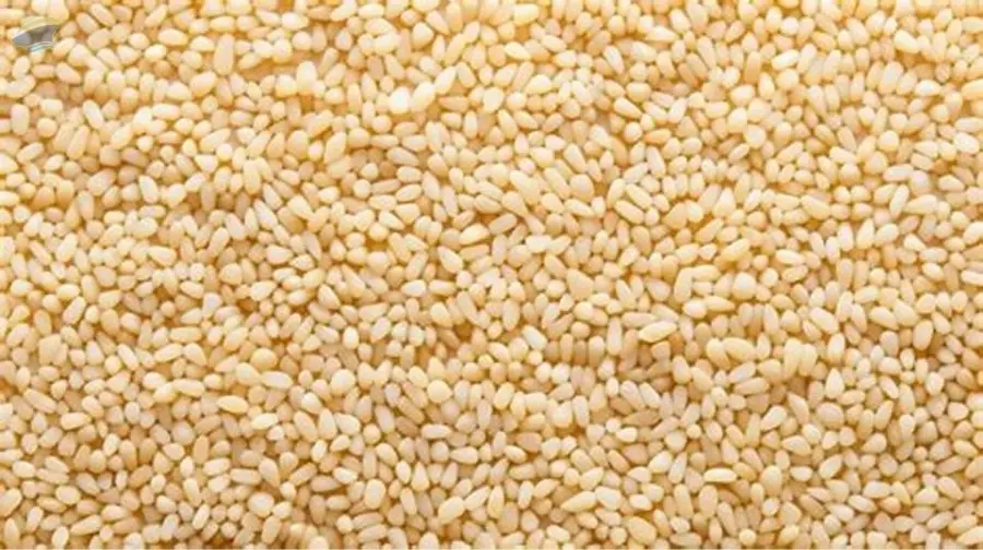 Sesame Seeds