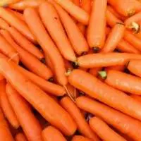 ooty carrot