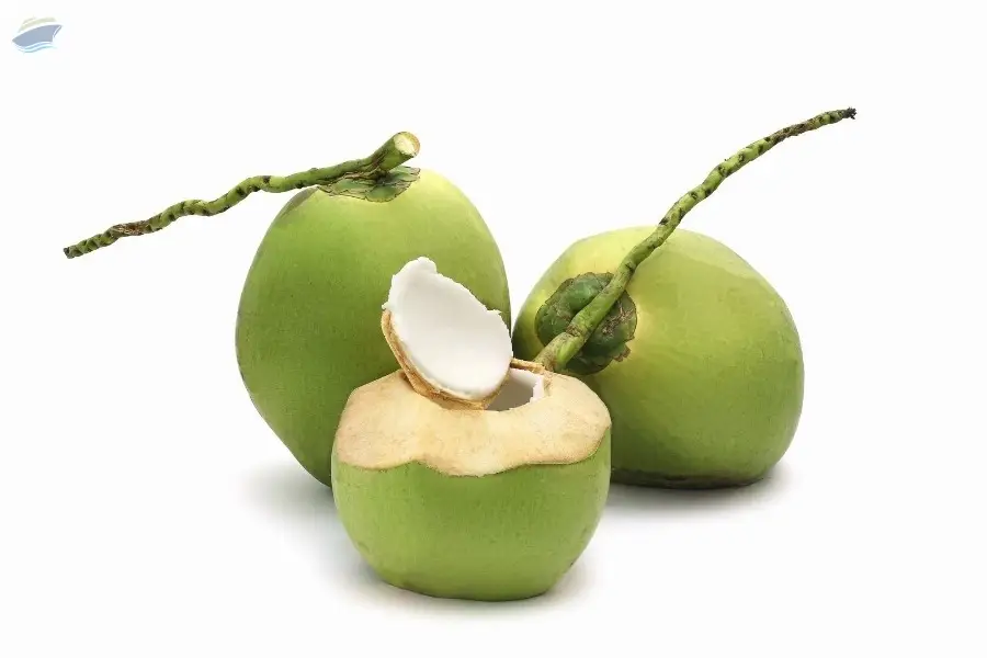 Tender Coconut