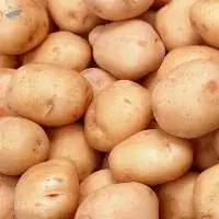 potato