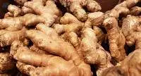 ginger