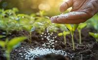 General Field-use Blended Fertilizers