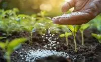 General Field-use Blended Fertilizers