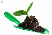 Soil Growth (Granular) Fertilizer