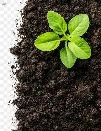 OSB - Organic Soil Boost Fertilizer