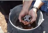 Organic Farm Aid (Liquid) Fertilizer