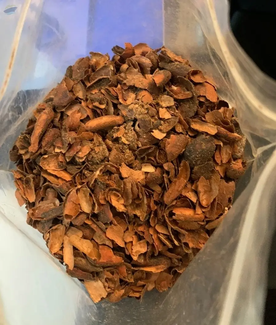 High Quality Export Grade Cocoa Shell