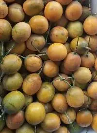 Passion Fruit
