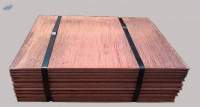 Copper Cathodes, Copper Scrap Wire (Millbery)