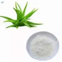 Aloe Vera Extract