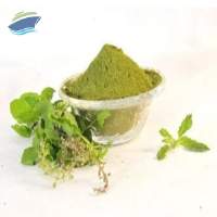 Tulsi Powder (Ocimum sanctum)