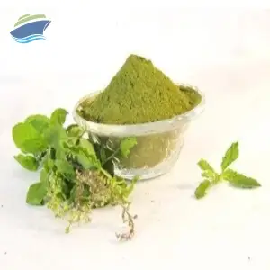 Tulsi Powder (Ocimum sanctum)