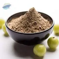 Amla Powder