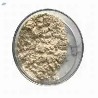 Aloe Vera Powder