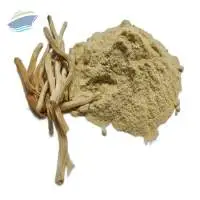 Asparagus Racemosa Extract