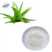 Aloe Vera Extract